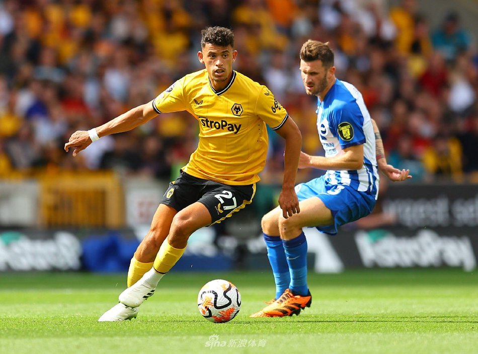 乓球事业的 乓球事业的